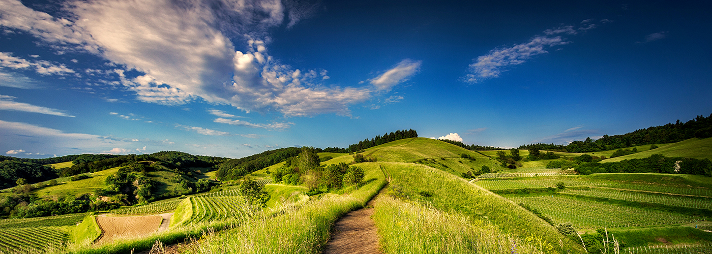 Find your way with Ausena